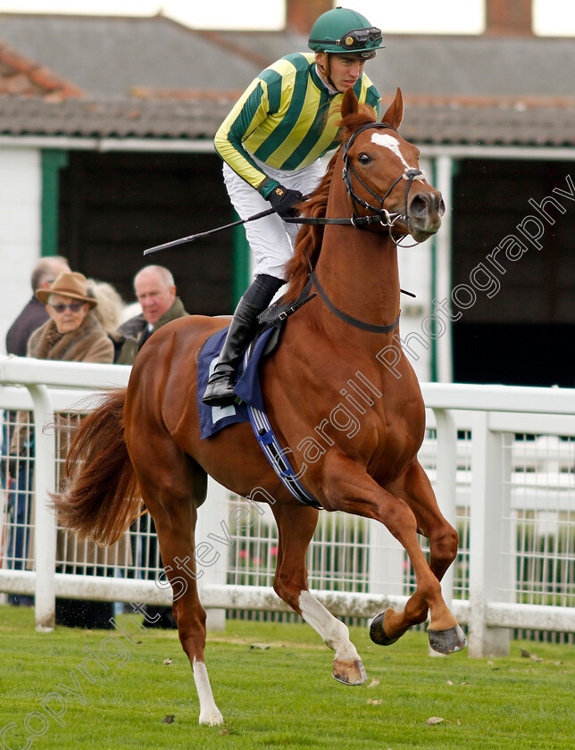 Pen-Portrait-0001 
 PEN PORTRAIT (James Doyle)
Yarmouth 16 Oct 2023 - Pic Steven Cargill / Racingfotos.com