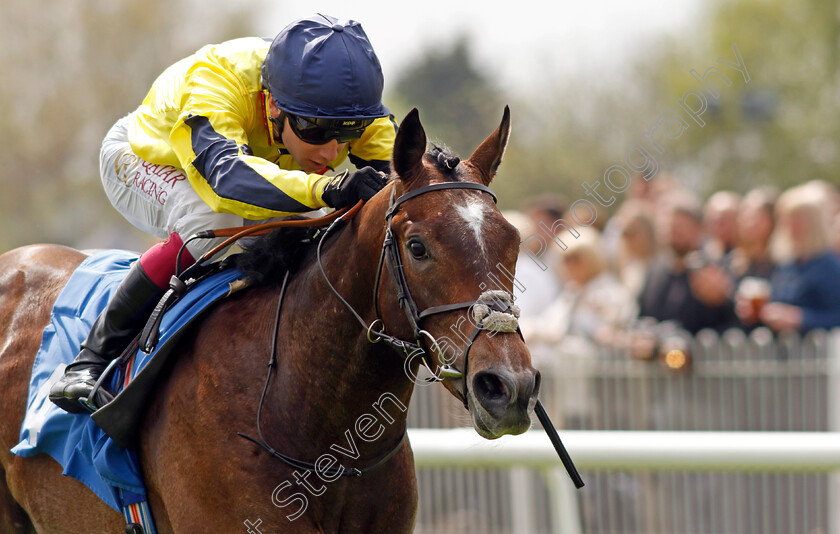 Spanish-Phoenix-0003 
 SPANISH PHOENIX (Oisin Murphy) wins The Atlantic Pale Ale Maiden Stakes
Leicester 29 Apr 2023 - Pic Steven Cargill / Racingfotos.com