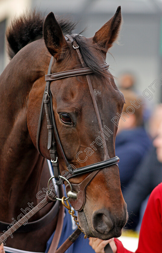 Sizing-John-0003 
 SIZING JOHN parading at The Curragh 10 Sep 2017 - Pic Steven Cargill / Racingfotos.com