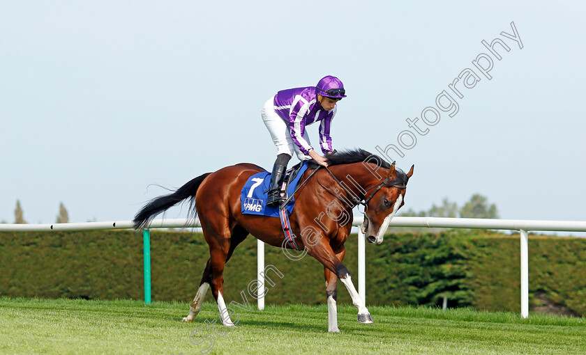 Diego-Velazquez-0009 
 DIEGO VELAZQUEZ (Ryan Moore) winner of The KPMG Champions Juvenile Stakes
Leopardstown 9 Sep 2023 - Pic Steven Cargill / Racingfotos.com