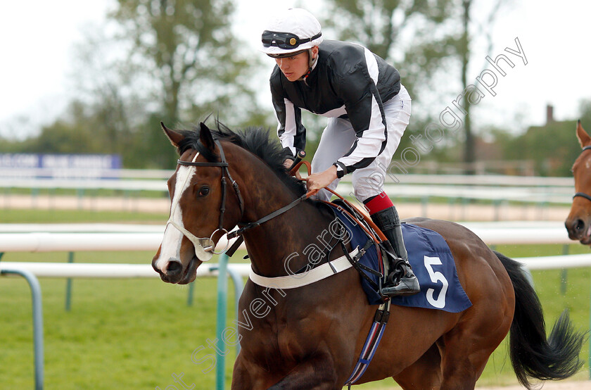 Bettys-Hope-0001 
 BETTYS HOPE (Theodore Ladd)
Southwell 29 Apr 2019 - Pic Steven Cargill / Racingfotos.com