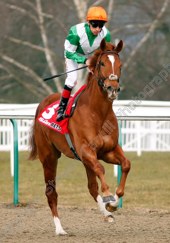 Mr-Minerals-0001 
 MR MINERALS (Shane Kelly) Lingfield 3 Mar 2018 - Pic Steven Cargill / Racingfotos.com