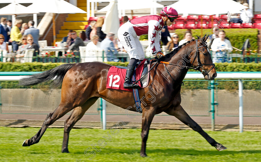 Moyola-0001 
 MOYOLA (Saffie Osborne)
Haydock 25 May 2024 - Pic Steven cargill / Racingfotos.com