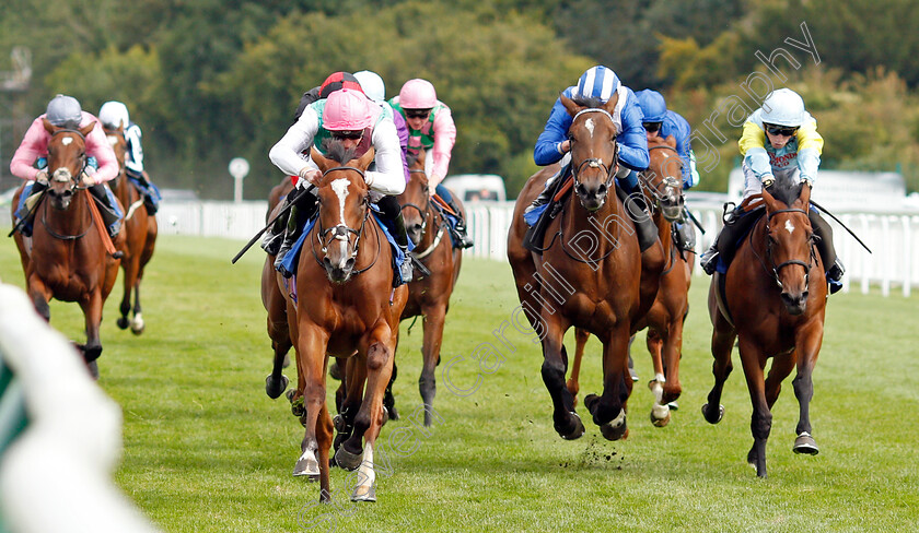 Snow-Shower-0001 
 SNOW SHOWER (left, James Doyle) beats SHURAFFA (centre) and ALASH ORDA (right) in The Bob McCreery Memorial EBF Quidhampton Maiden Fillies Stakes
Salisbury 5 Sep 2019 - Pic Steven Cargill / Racingfotos.com