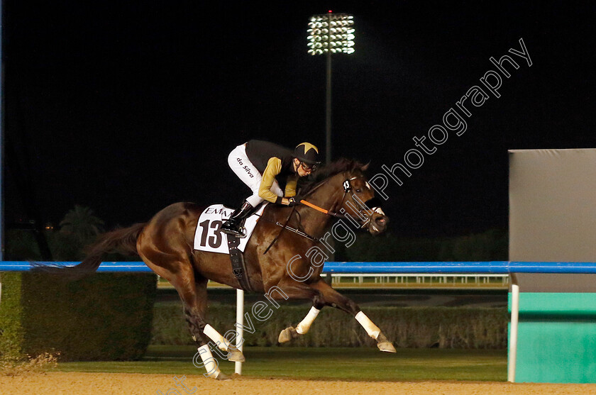 Tuz-0005 
 TUZ (Jose Da Silva) wins The Al Shindagha
Meydan, Dubai 3 Feb 2023 - Pic Steven Cargill / Racingfotos.com