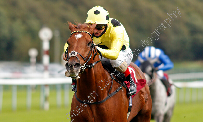 Ostilio-0005 
 OSTILIO (Andrea Atzeni) wins The Betfair EBF Conditions Stakes
Haydock 3 Sep 2020 - Pic Steven Cargill / Racingfotos.com