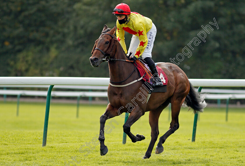 Afandem-0002 
 AFANDEM (Duran Fentiman)
Haydock 4 Sep 2020 - Pic Steven Cargill / Racingfotos.com