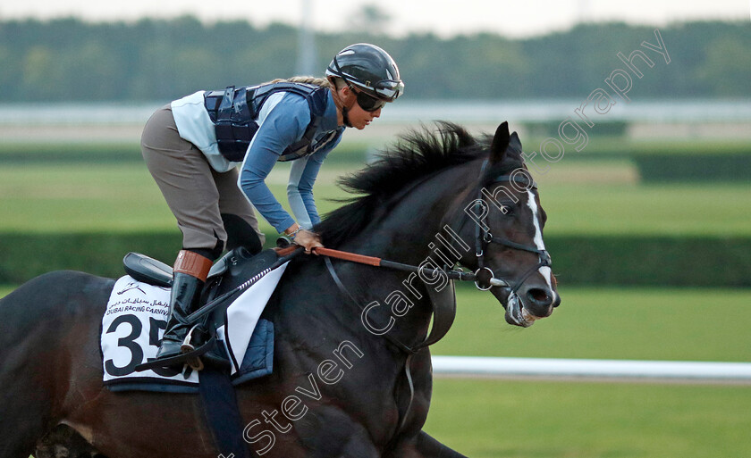 Sean-0001 
 SEAN training at the Dubai Racing Carnival
Meydan 1 Feb 2024 - Pic Steven Cargill / Racingfotos.com