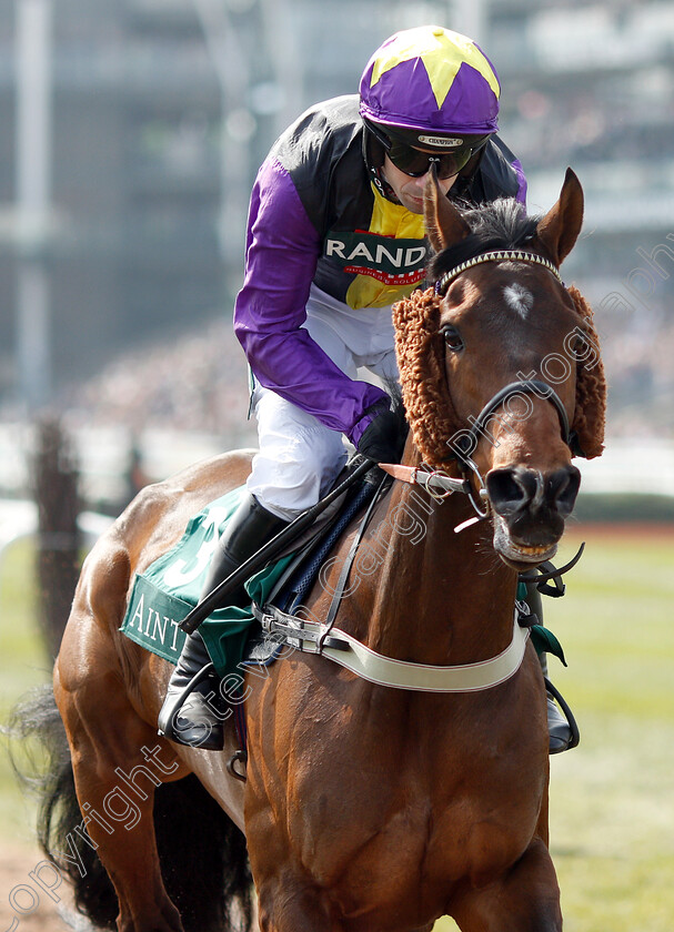 Mia s-Storm-0001 
 MIA'S STORM (Wayne Hutchinson)
Aintree 6 Apr 2019 - Pic Steven Cargill / Racingfotos.com