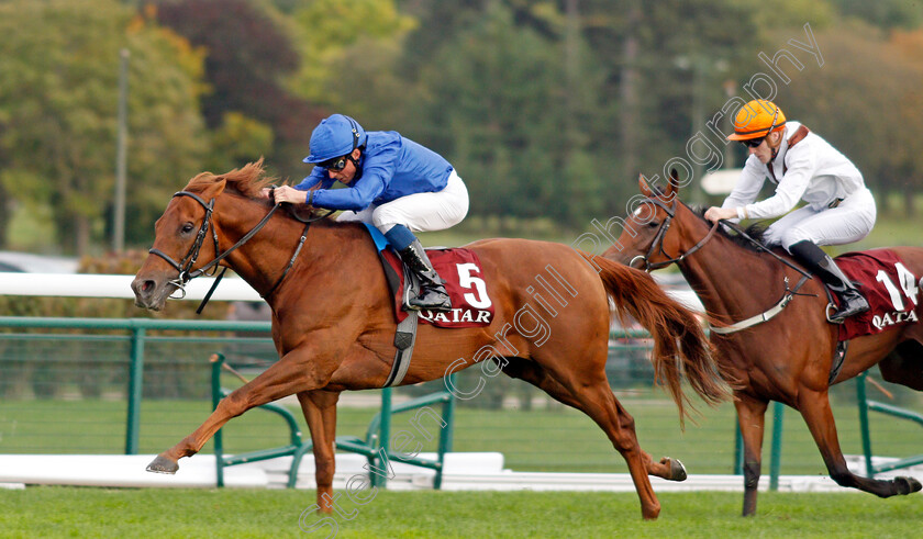 Space-Blues-0005 
 SPACE BLUES (William Buick) wins The Qatar Prix de la Foret
Longchamp 3 Oct 2021 - Pic Steven Cargill / Racingfotos.com