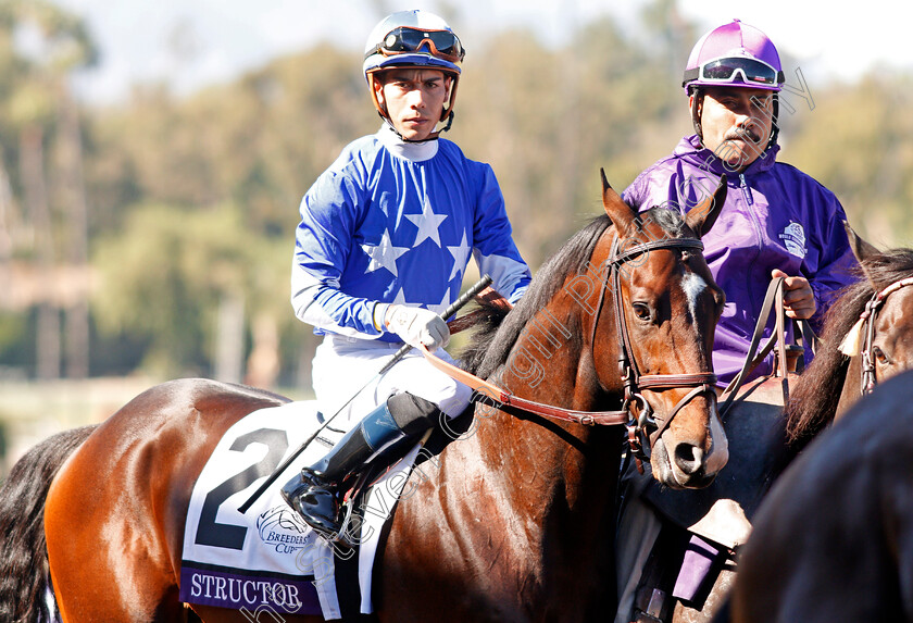 Structor-0001 
 STRUCTOR (Jose Ortiz) before The Breeders' Cup Juvenile Turf
Santa Anita USA 1 Nov 2019 - Pic Steven Cargill / Racingfotos.com