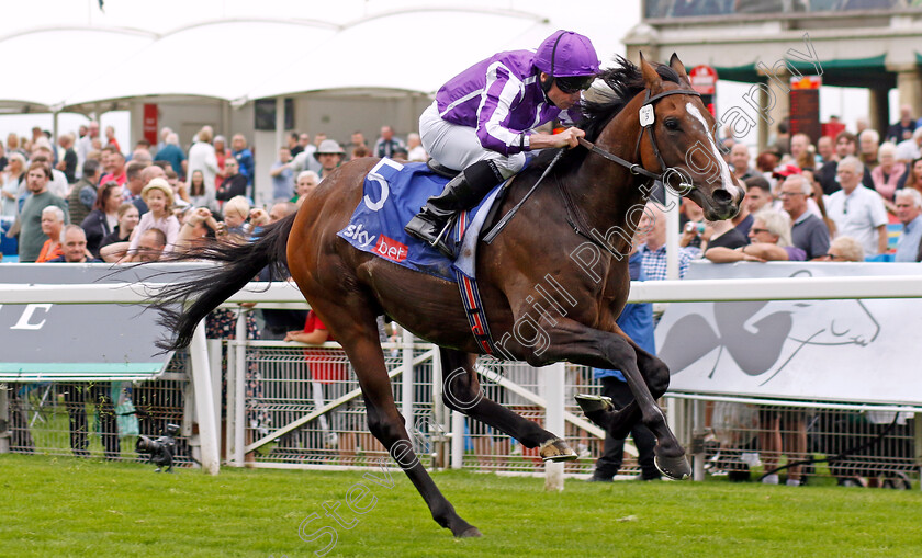 Continuous-0004 
 CONTINUOUS (Ryan Moore) wins The Sjy Bet Great Voltigeur Stakes
York 23 Aug 2023 - Pic Steven Cargill / Racingfotos.com