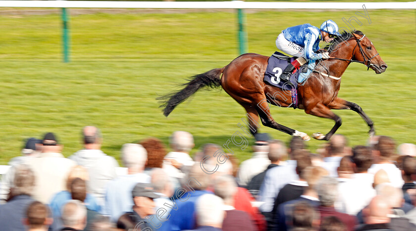 Fighting-Irish-0002 
 FIGHTING IRISH (Stevie Donohoe) wins The Parkdean Resorts Starland Krew Nursery Yarmouth 21 Sep 2017 - Pic Steven Cargill / Racingfotos.com