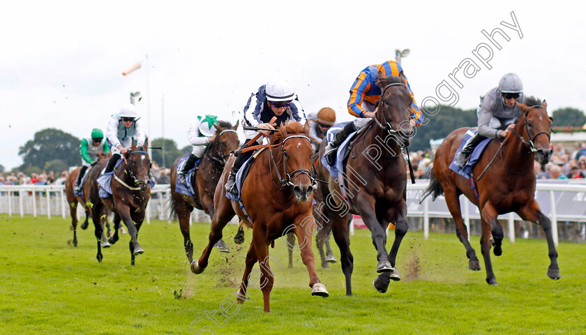 Lake-Forest-0004 
 LAKE FOREST (Tom Marquand) beats JOHANNES BRAHMS (2nd right) in The Al Basti Equiworld Gimcrack Stakes
York 25 Aug 2023 - Pic Steven Cargill / Racingfotos.com