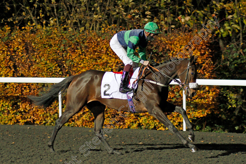 Auria-0001 
 AURIA (Rob Hornby) winner of The Unibet 3 Uniboosts A Day EBF Fillies Novice Stakes Div1
Kempton 11 Nov 2020 - Pic Steven Cargill / Racingfotos.com