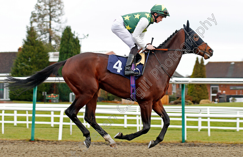 Genetics-0001 
 GENETICS (Rob Hornby) Lingfield 13 Dec 2017 - Pic Steven Cargill / Racingfotos.com