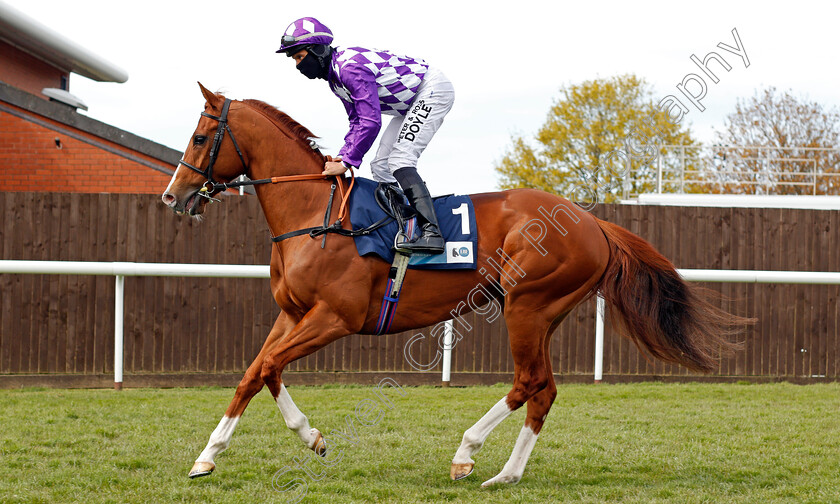 Mums-Tipple-0001 
 MUMS TIPPLE (Sean Levey)
Leicester 24 Apr 2021 - Pic Steven Cargill / Racingfotos.com