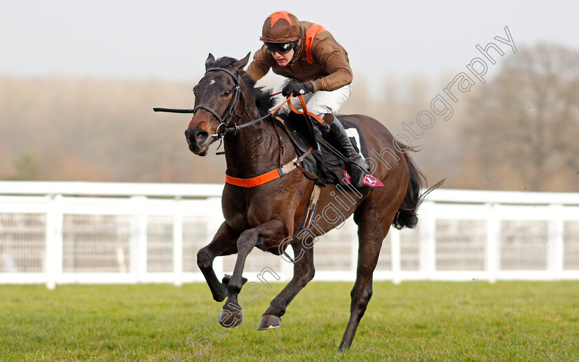 Flowing-Cadenza-0005 
 FLOWING CADENZA (Sean Houlihan) wins The Foundation Developments Noivces Handicap Hurdle
Ascot 21 Dec 2019 - Pic Steven Cargill / Racingfotos.com