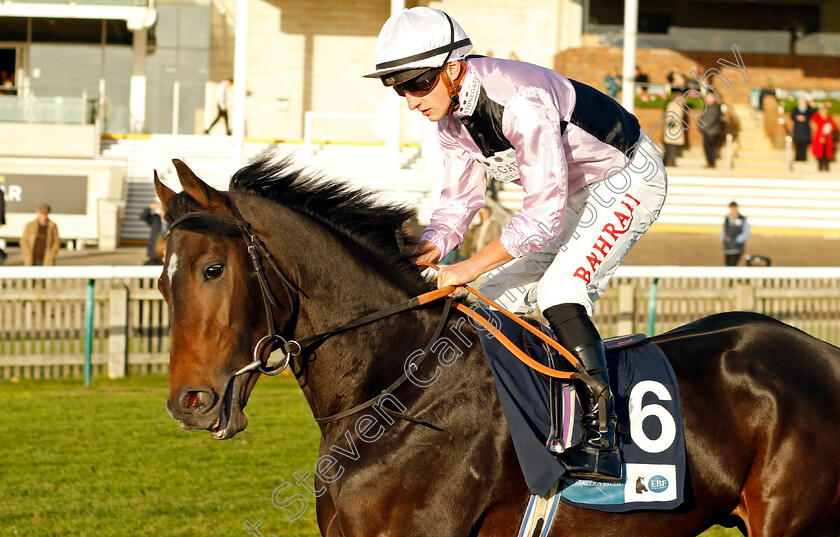 Lose-Your-Wad-0002 
 LOSE YOUR WAD (Tom Marquand)
Newmarket 19 Oct 2022 - Pic Steven Cargill / Racingfotos.com