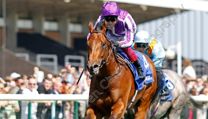 Little-Big-Bear-0005 
 LITTLE BIG BEAR (Frankie Dettori) wins The Betfred Nifty Fifty Sandy Lane Stakes
Haydock 27 May 2023 - pic Steven Cargill / Racingfotos.com