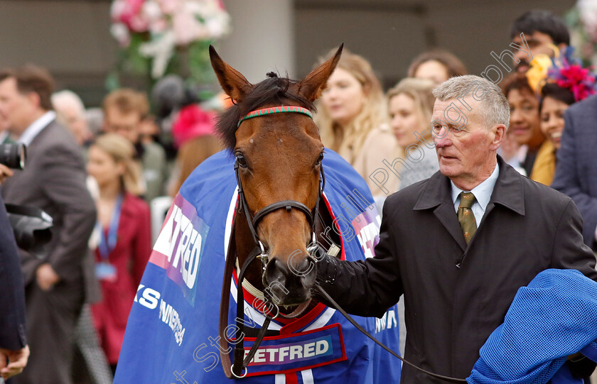 Ezeliya-0025 
 EZELIYA after The Betfred Oaks
Epsom 31 May 2024 - pic Steven Cargill / Racingfotos.com