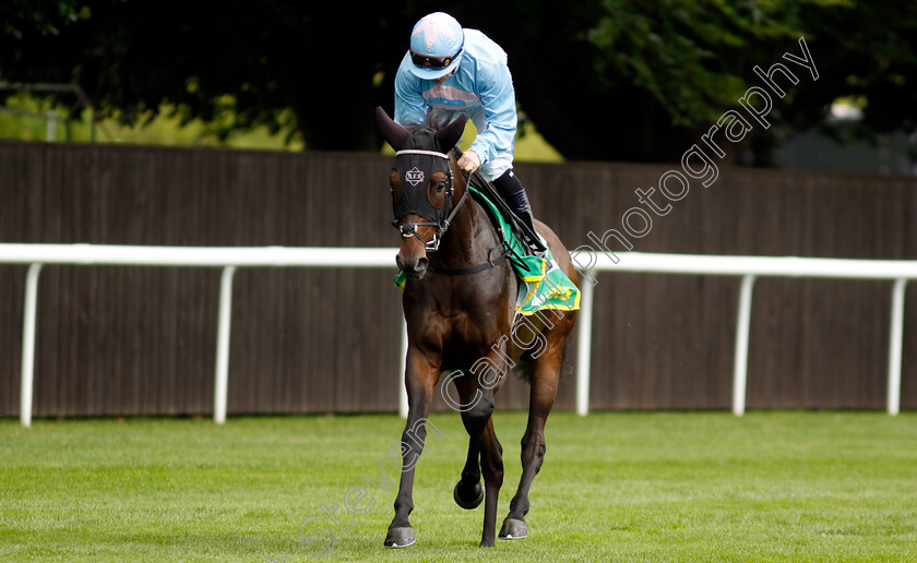 Global-Skies-0001 
 GLOBAL SKIES (Kieran O'Neill)
Newmarket 13 Jul 2024 - Pic Steven Cargill / Racingfotos.com