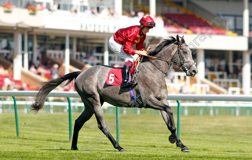 Lion-Kingdom-0001 
 LION KINGDOM (Cieren Fallon)
Haydock 1 Sep 2022 - Pic Steven Cargill / Racingfotos.com