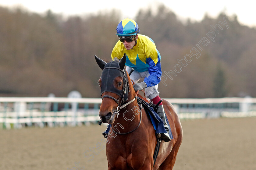 Dragon-Icon-0003 
 DRAGON ICON (Cameron Noble)
Lingfield 20 Jan 2024 - Pic Steven Cargill / Racingfotos.com