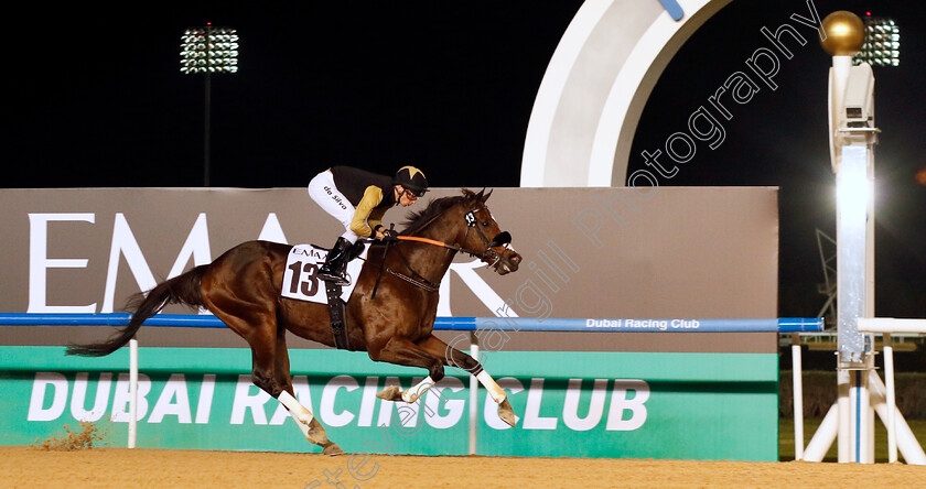 Tuz-0003 
 TUZ (Jose Da Silva) wins The Al Shindagha
Meydan, Dubai 3 Feb 2023 - Pic Steven Cargill / Racingfotos.com