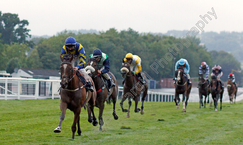 Tronada-0002 
 TRONADA (Martin Harley) wins The Faucets Fillies Handicap
Chepstow 9 Jul 2020 - Pic Steven Cargill / Racingfotos.com