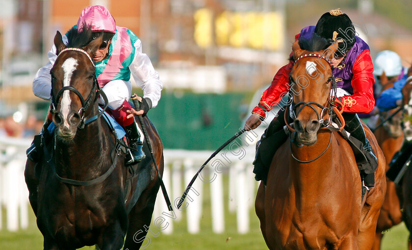 Daphne-0008 
 DAPHNE (right, Ryan Moore) beats WEEKENDER (left) in The Dubai Duty Free Finest Surprise Handicap Newbury 23 Sep 2017 - Pic Steven Cargill / Racingfotos.com