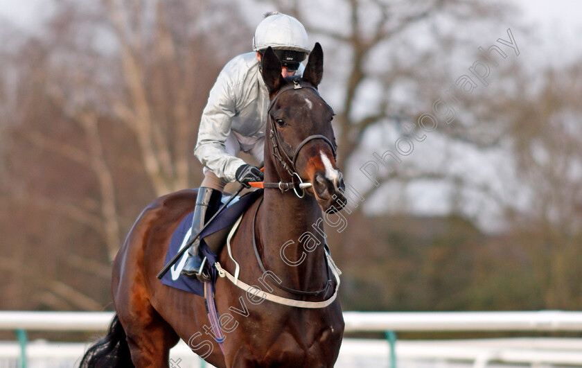 River-Glades-0001 
 RIVER GLADES (Joe Fanning) Lingfield 23 Feb 2018 - Pic Steven Cargill / Racingfotos.com