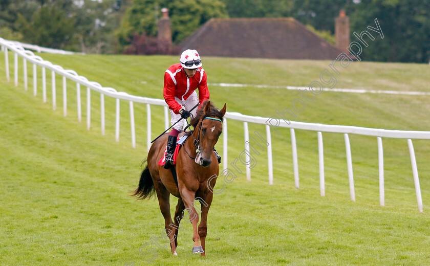 Shuwari-0008 
 SHUWARI (Oisin Murphy) winner of The European Bloodstock News EBF Star Stakes
Sandown 27 Jul 2023 - Pic Steven Cargill / Racingfotos.com