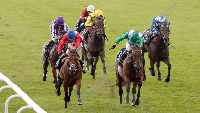 Veracious-0006 
 VERACIOUS (left, Oisin Murphy) beats ONE MASTER (right) in The Tattersalls Falmouth Stakes
Newmarket 12 Jul 2019 - Pic Steven Cargill / Racingfotos.com