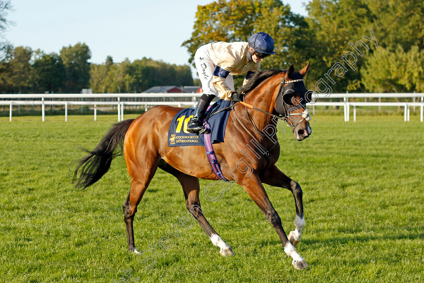 Outbox-0004 
 OUTBOX (Hollie Doyle)
Bro Park 17 Sep 2023 - Pic Steven Cargill / Racingfotos.com