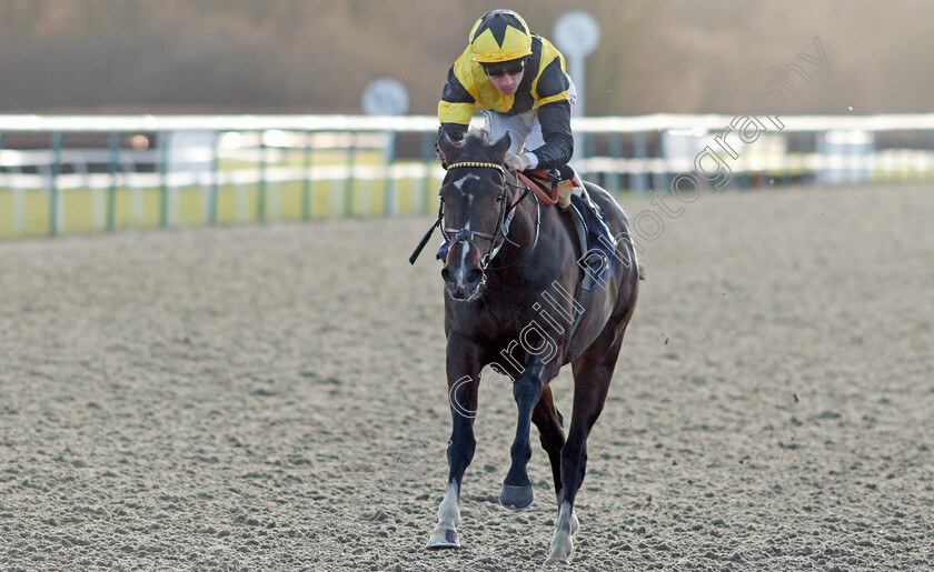 Island-Hideaway-0007 
 ISLAND HIDEAWAY (Shane Kelly) wins The Ladbrokes Home Of The Odds Boost Maiden Fillies Stakes
Lingfield 9 Dec 2019 - Pic Steven Cargill / Racingfotos.com