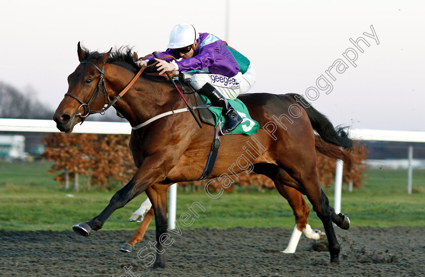 No-Nonsense-0006 
 NO NONSENSE (David Probert) wins The Talksport Novice Stakes
Kempton 12 Dec 2018 - Pic Steven Cargill / Racingfotos.com