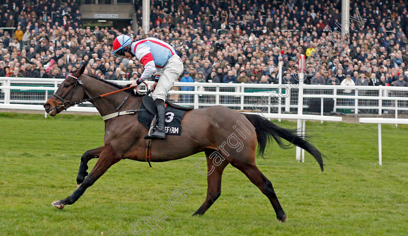 Simply-The-Betts-0004 
 SIMPLY THE BETTS (Gavin Sheehan) wins The Timeform Novices Handicap Chase
Cheltenham 25 Jan 2020 - Pic Steven Cargill / Racingfotos.com