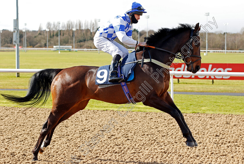 Little-Bit-Welsh-0001 
 LITTLE BIT WELSH (Charlie Bennett)
Wolverhampton 13 Mar 2021 - Pic Steven Cargill / Racingfotos.com