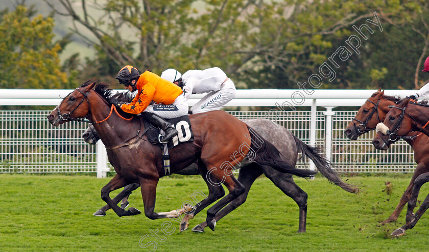 Snow-Ocean-0005 
 SNOW OCEAN (Harry Bentley) wins The Join tote.co.uk With £10 Risk Free Handicap
Goodwood 23 Sep 2020 - Pic Steven Cargill / Racingfotos.com