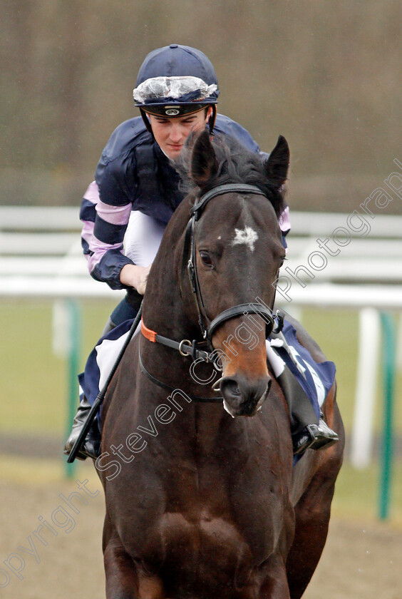 Cloud-Eight-0001 
 CLOUD EIGHT (Marc Monaghan) Lingfield 14 Feb 2018 - Pic Steven Cargill / Racingfotos.com