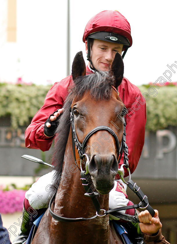 Enemy-0009 
 ENEMY (Oisin Murphy) after The Charbonnel Et Walker British EBF Maiden Stakes
Ascot 6 Sep 2019 - Pic Steven Cargill / Racingfotos.com