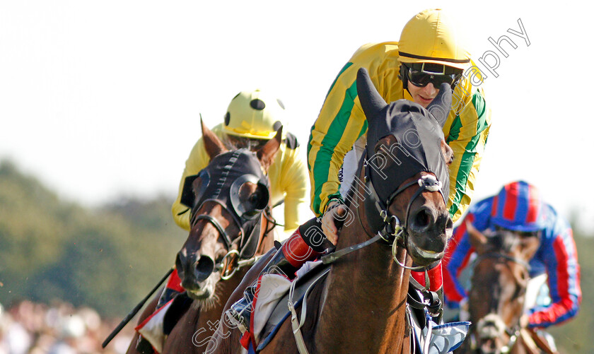 Mustajeer-0009 
 MUSTAJEER (Colin Keane) wins The Sky Bet Ebor
York 24 Aug 2019 - Pic Steven Cargill / Racingfotos.com