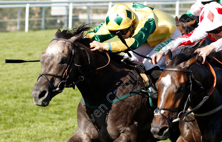 Lord-Riddiford-0004 
 LORD RIDDIFORD (left, Jason Hart) beats MARNIE JAMES (right) in The Tatler Handicap
Goodwood 2 Aug 2018 - Pic Steven Cargill / Racingfotos.com