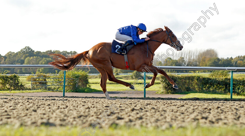 Modern-News-0004 
 MODERN NEWS (William Buick) wins The Mansionbet Beaten By A Head Handicap
Lingfield 28 Oct 2021 - Pic Steven Cargill / Racingfotos.com