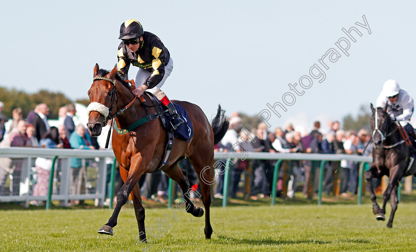 Rayna s-World-0002 
 RAYNA'S WORLD (Jimmy Quinn) wins The Vince Sullivan Memorial Nursery Yarmouth 19 Sep 2017 - Pic Steven Cargill / Racingfotos.com