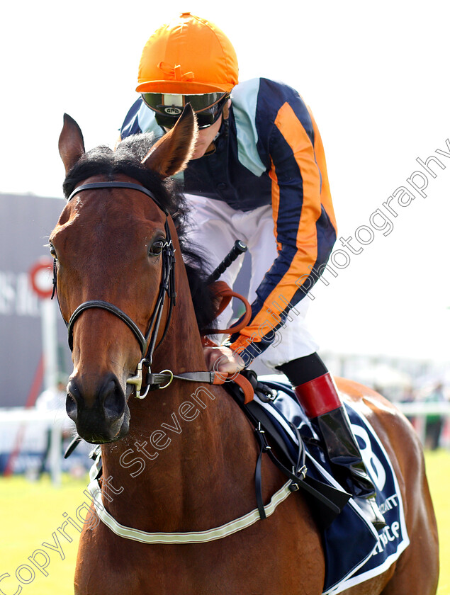 Perfect-Clarity-0001 
 PERFECT CLARITY (Adam Kirby)
Epsom 1 Jun 2018 - Pic Steven Cargill / Racingfotos.com