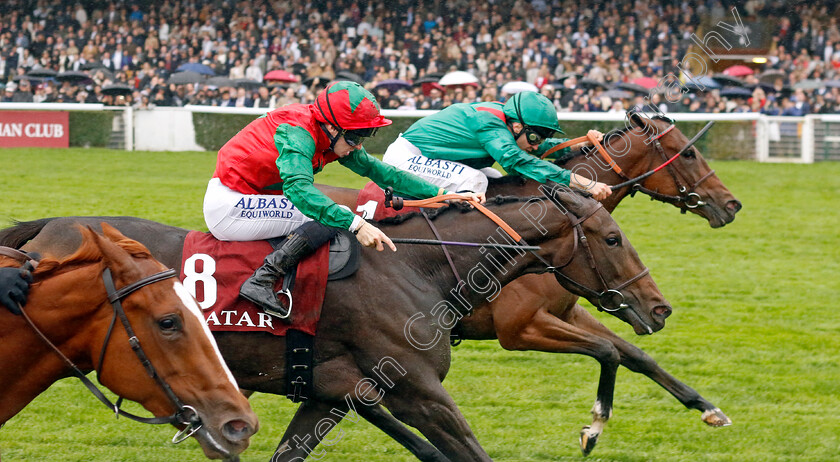 Vertical-Blue-0003 
 VERTICAL BLUE (A Pouchin) wins The Qatar Prix Marcel Boussac
Longchamp 6 Oct 2024 - Pic Steven Cargill / Racingfotos.com