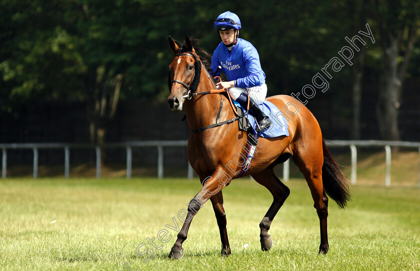 Promising-Run-0001 
 PROMISING RUN (Oisin Murphy)
Pontefract 10 Jul 2018 - Pic Steven Cargill / Racingfotos.com