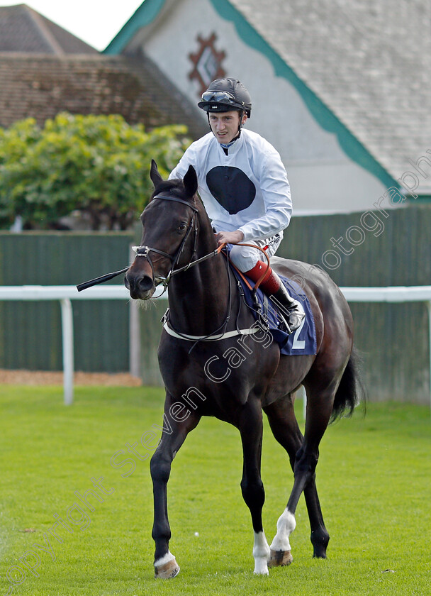 Conservative-0001 
 CONSERVATIVE (David Egan)
Yarmouth 15 Sep 2021 - Pic Steven Cargill / Racingfotos.com